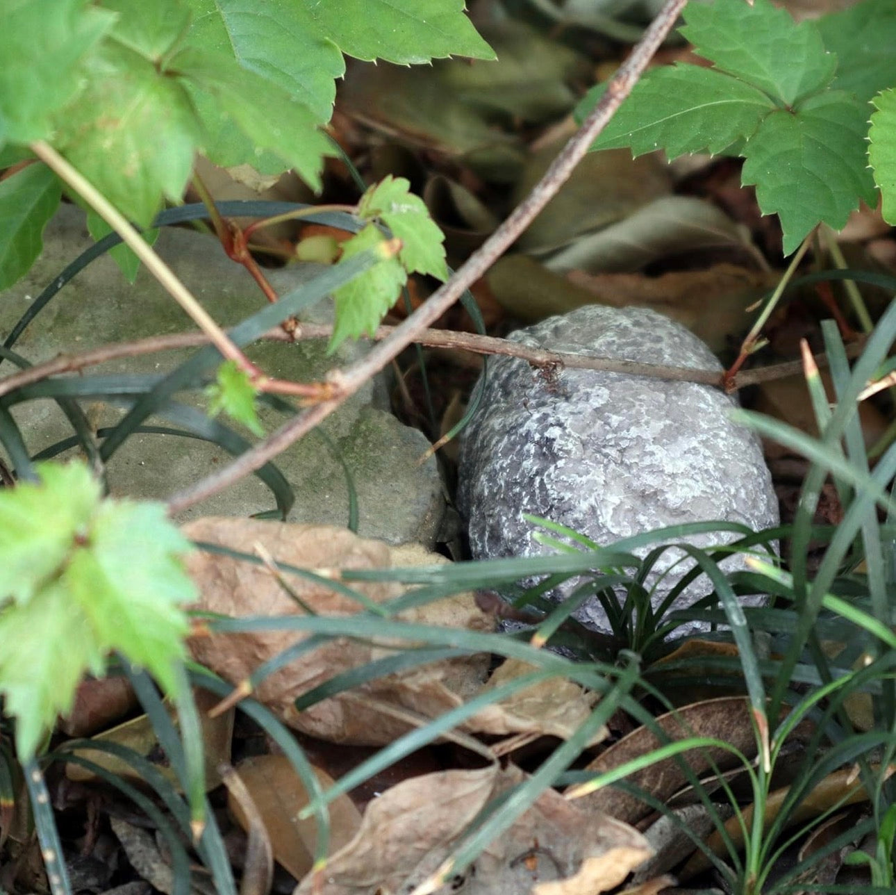 Cachette décorative imitation pierre avec tiroir secret