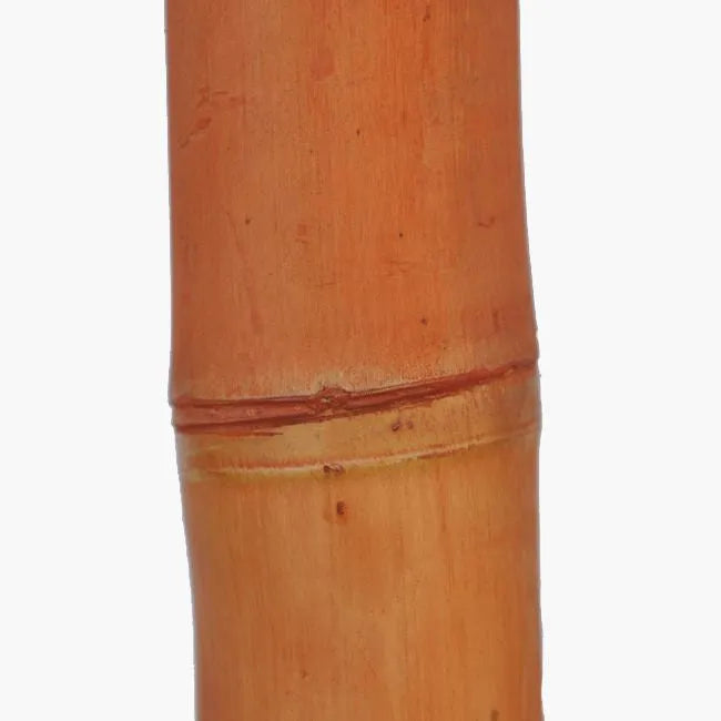 Bambou naturelle rouge, titeur de plante, tige 1,8m, lot de 10pcs - SQES