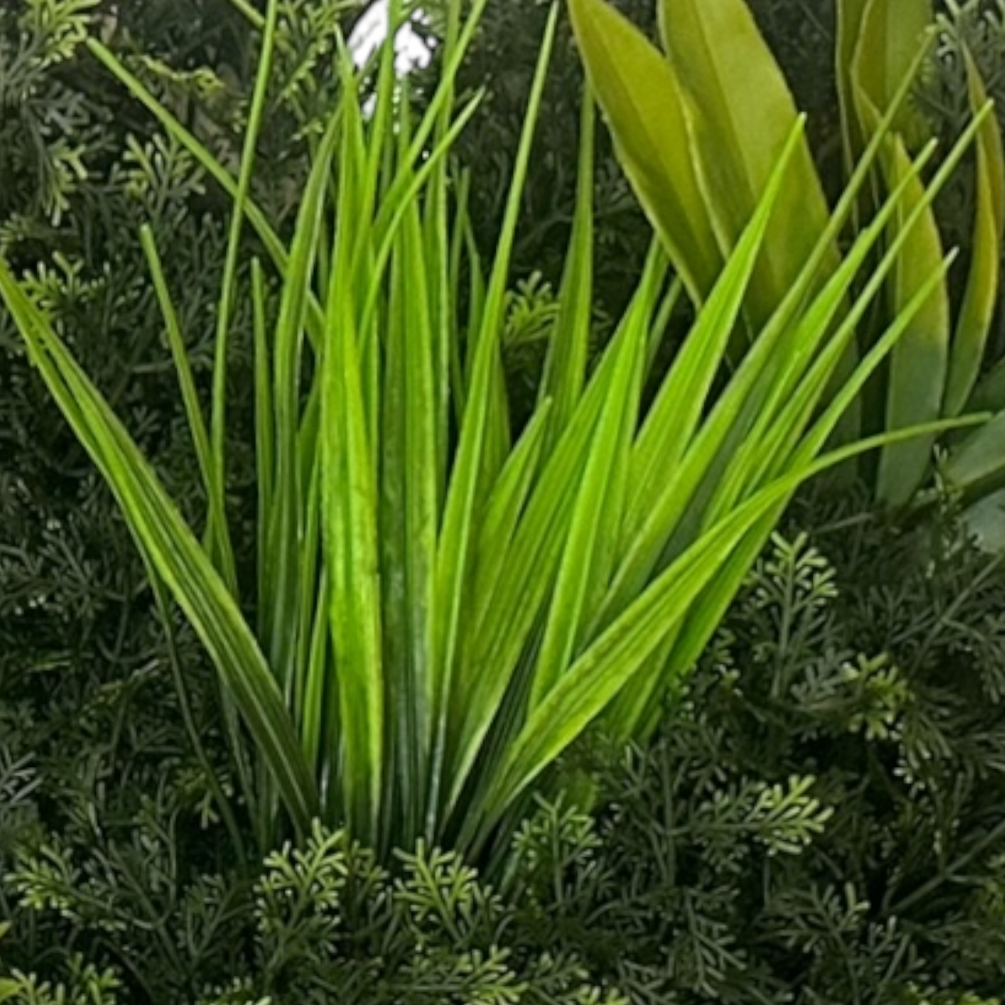 Panneau décoratif 3D FLORIDA - Mur végétal artificiel - 50cm*50cm - SQES