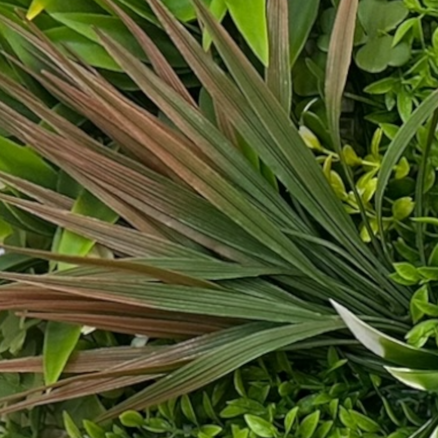 Panneau décoratif 3D JAMAICA - Mur végétal artificiel - 50cm*50cm - SQES