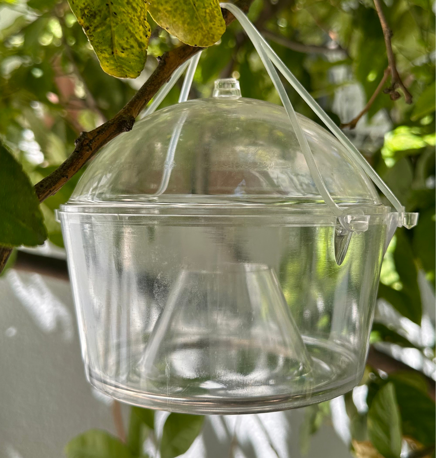 Pièges à Insectes écologique, piège Vivant 2 en 1 pour moustiques et guêpes - SQES