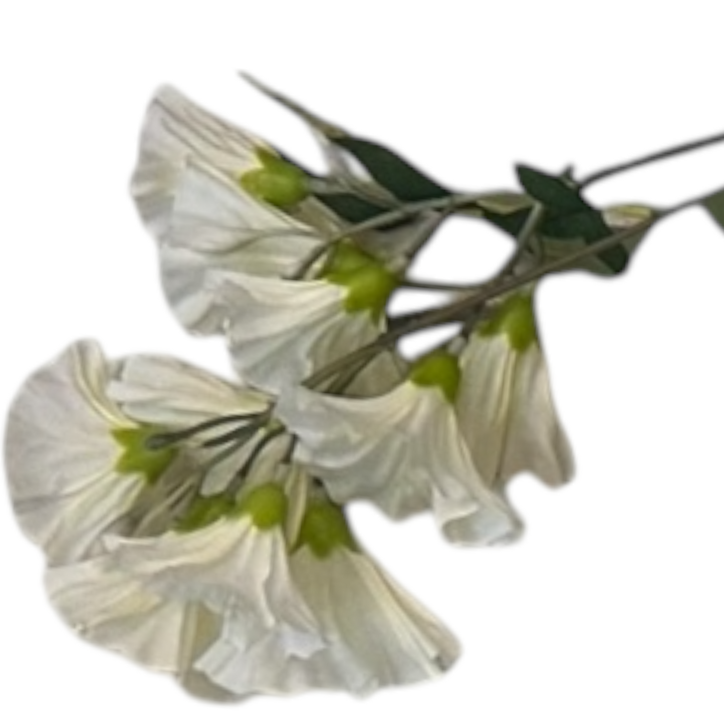 Tige de feuille florale pour décoration et aménagements floraux - SQES