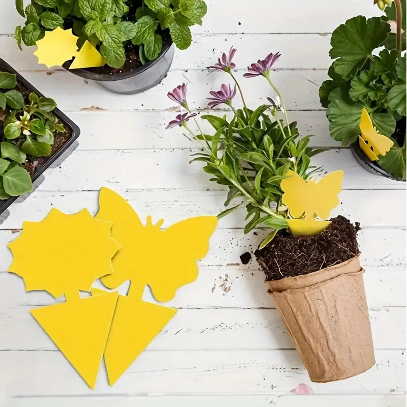 BOSS TAPE Anti Moucherons Plantes Intérieur, Pièges Engluées Autocollants (4pcs) 20cm - SQES