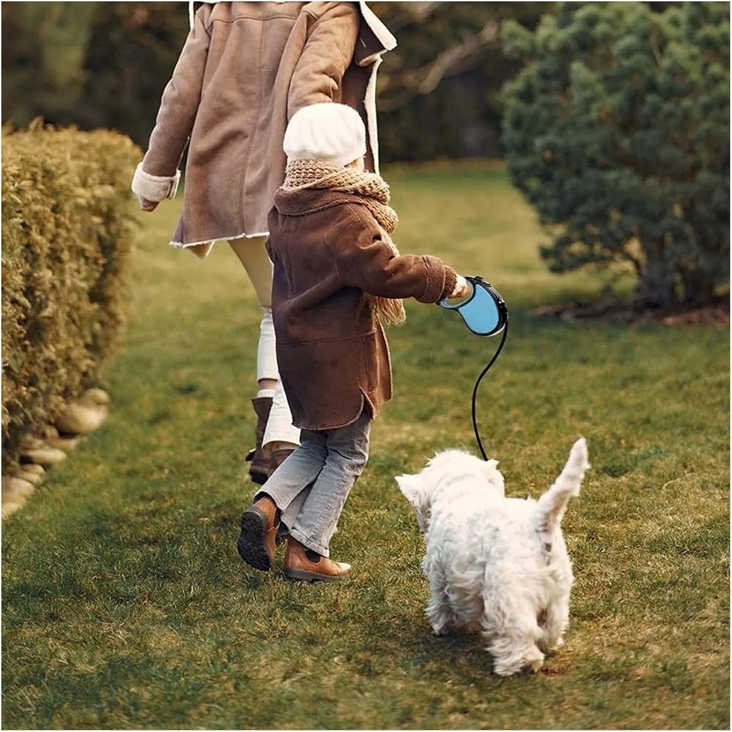 Laisse rétractable pour chiens et chats - 5M - SQES