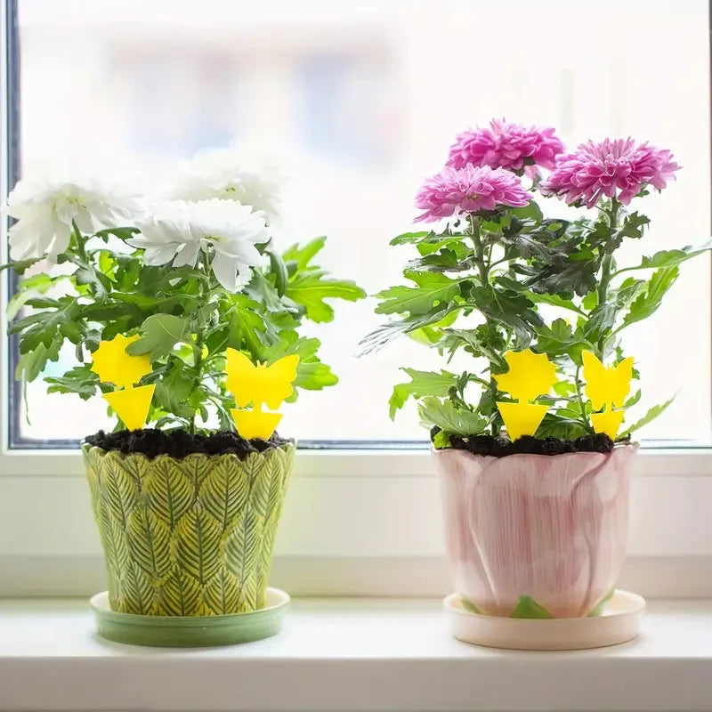 BOSS TAPE Anti Moucherons Plantes Intérieur, Pièges Engluées Autocollants (4pcs) 20cm - SQES