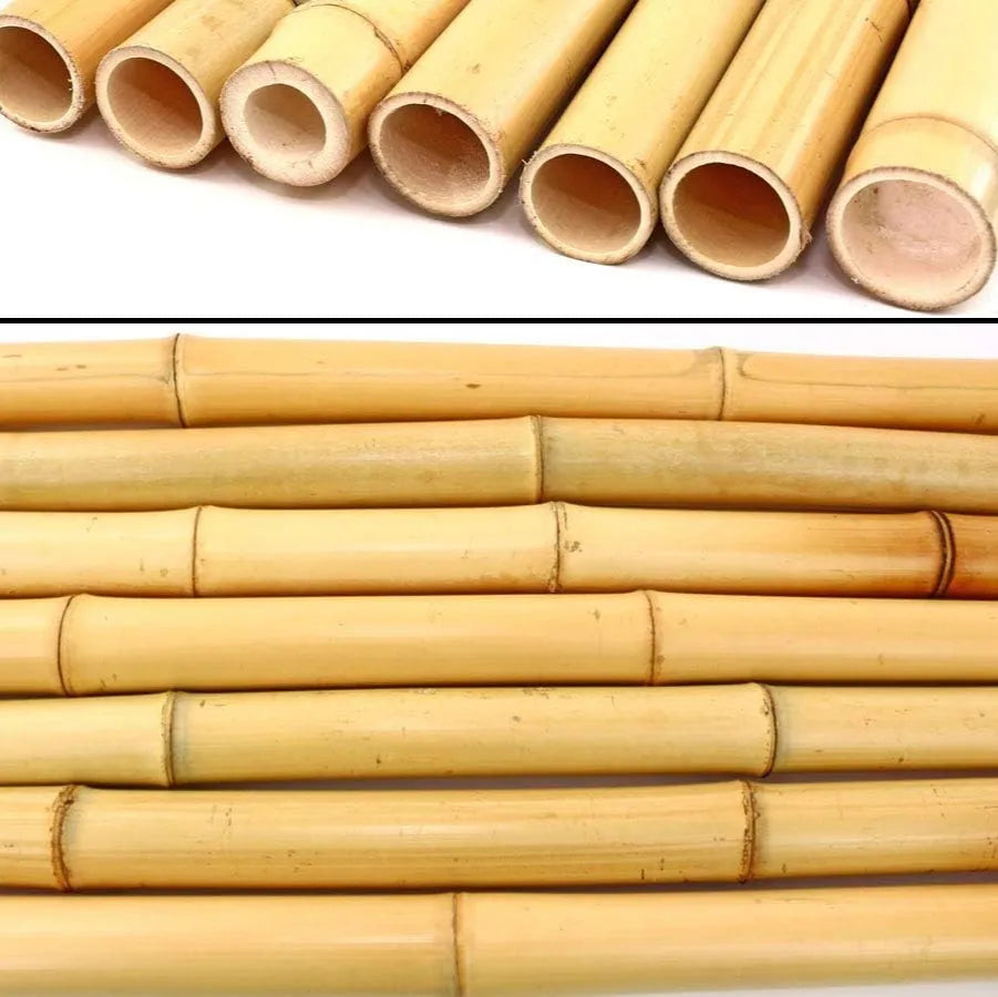 Bambou naturelle, titeur de plante, tige 1,8m, lot de 10pcs - SQES