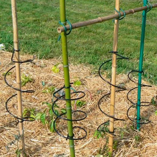 Bambou naturelle, titeur de plante, tige 1,8m, lot de 10pcs - SQES
