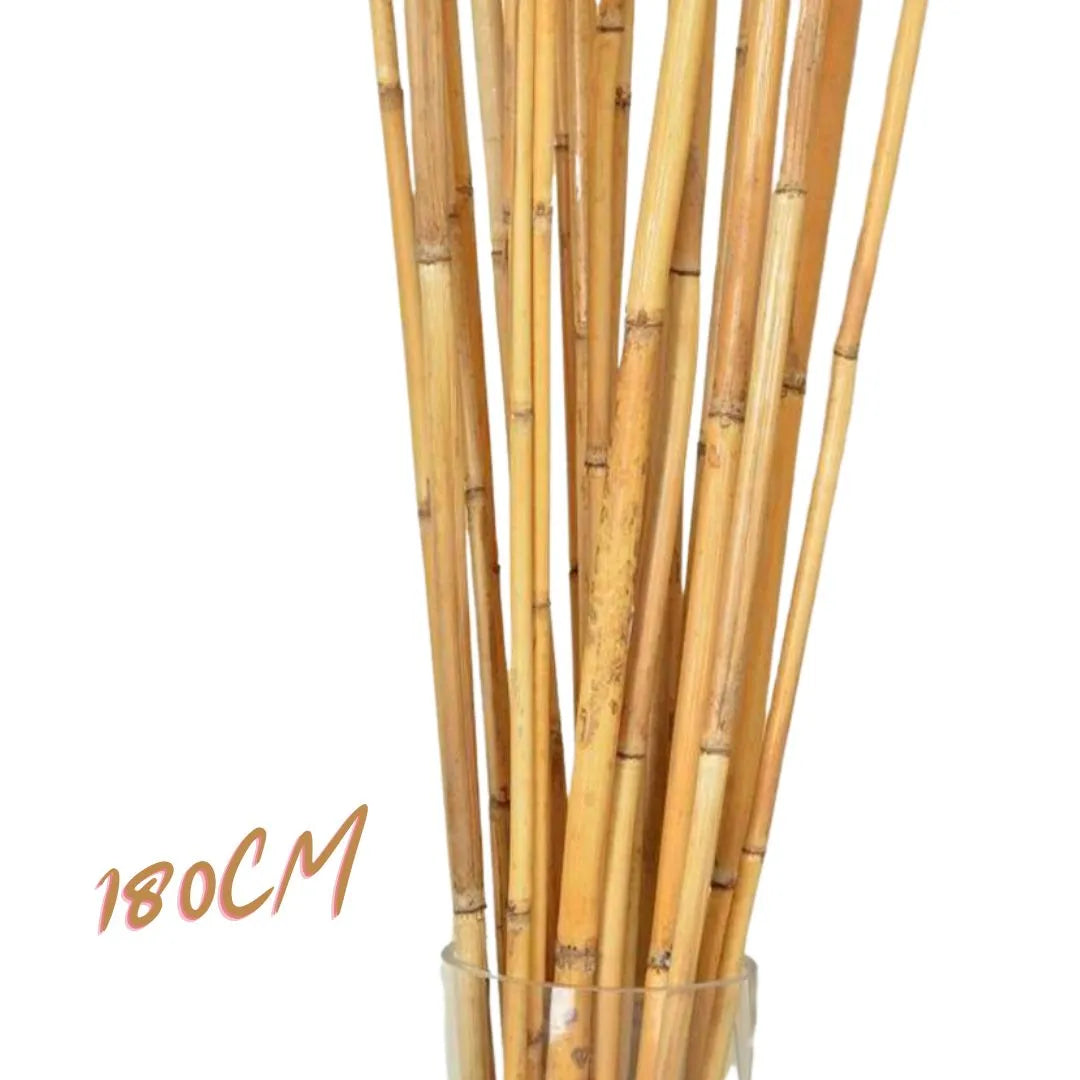 Bambou naturelle, titeur de plante, tige 1,8m, lot de 10pcs - SQES