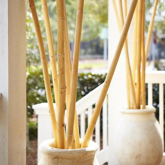 Bambou naturelle, titeur de plante, tige 1,8m, lot de 10pcs - SQES