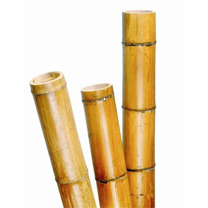 Bambou naturelle, titeur de plante, tige 1,8m, lot de 10pcs - SQES