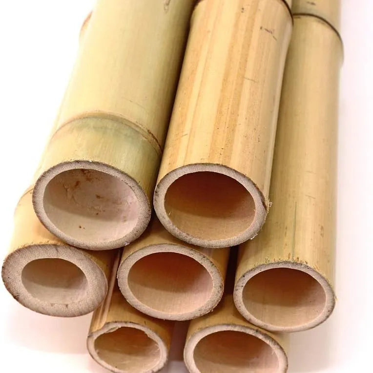 Bambou naturelle, titeur de plante, tige 1,8m, lot de 10pcs - SQES
