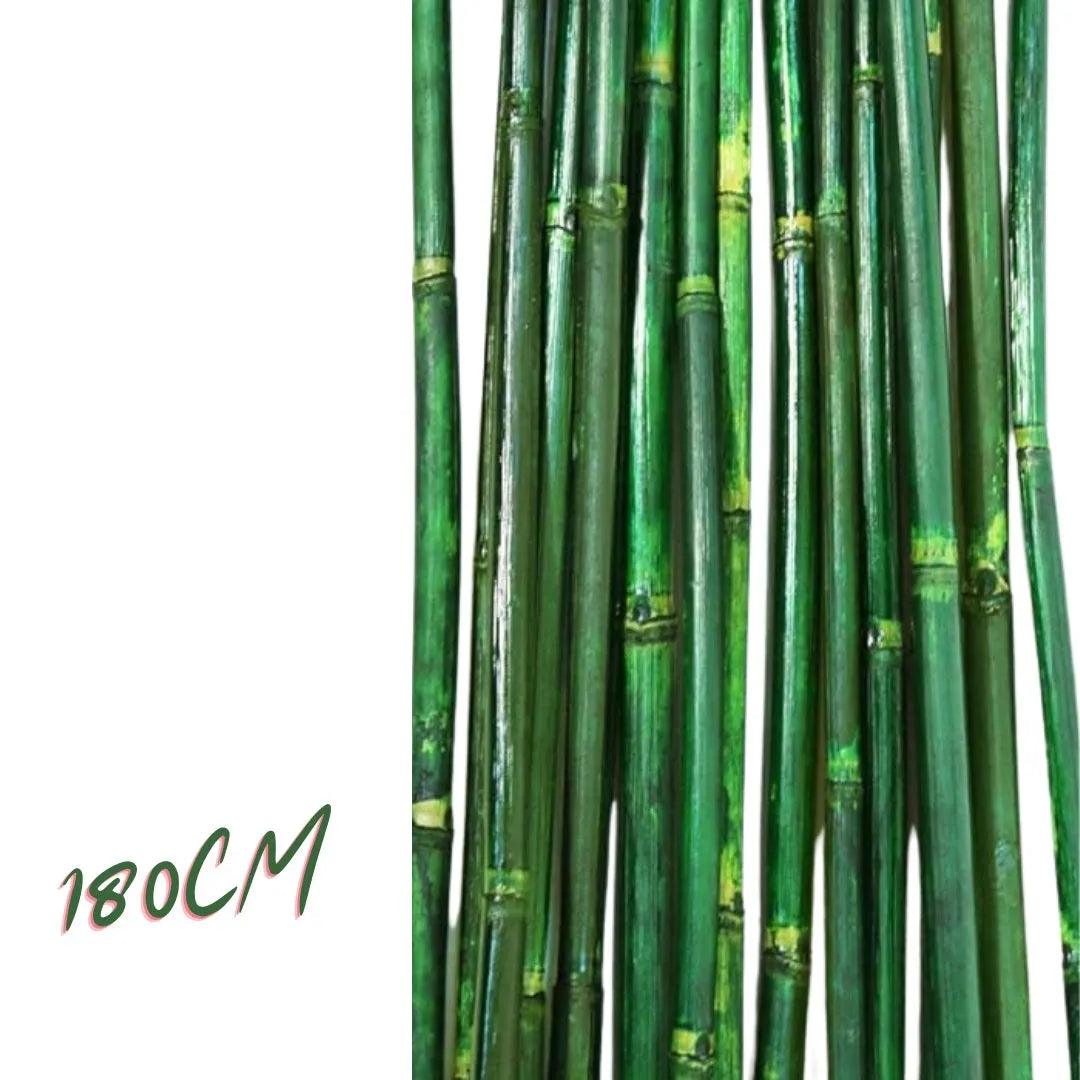 Bambou naturelle vert, titeur de plante, tige 1,8m, lot de 10pcs - SQES