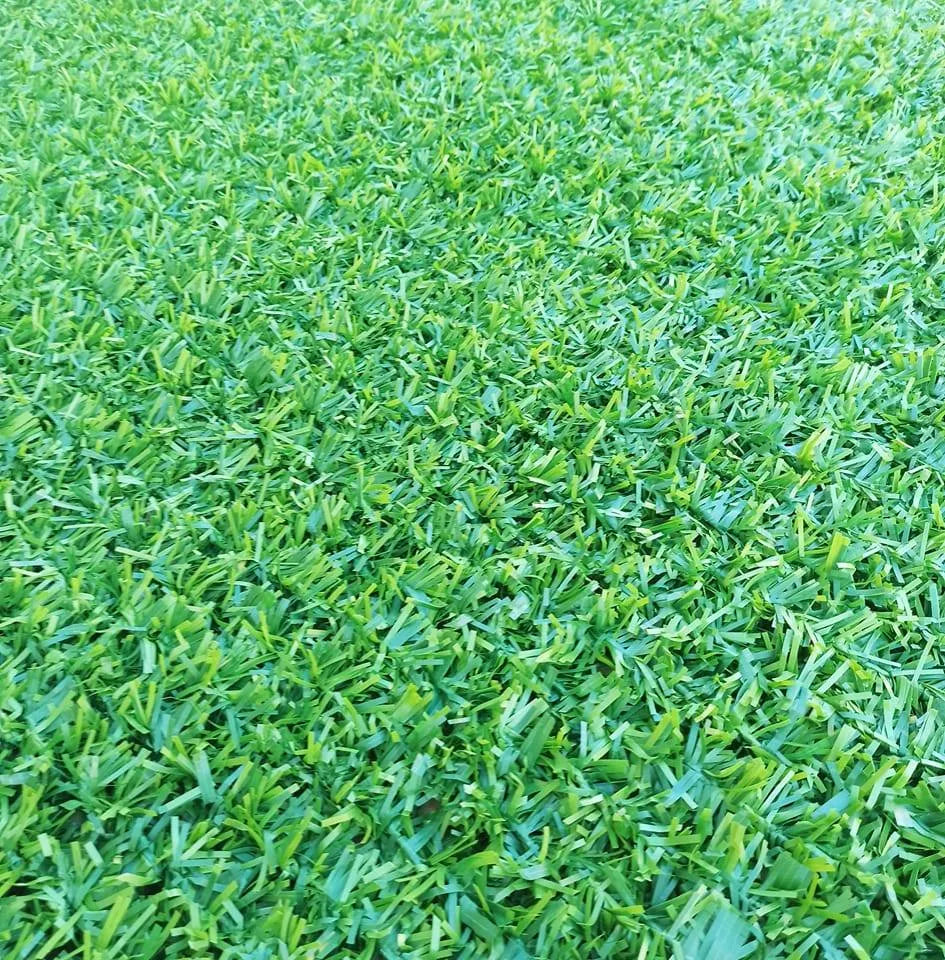 Grillage Gazonne - Grillage galvanisé avec gazon artificiel - Aspect lierre - Ultra couvrant - 1x10M - SQES