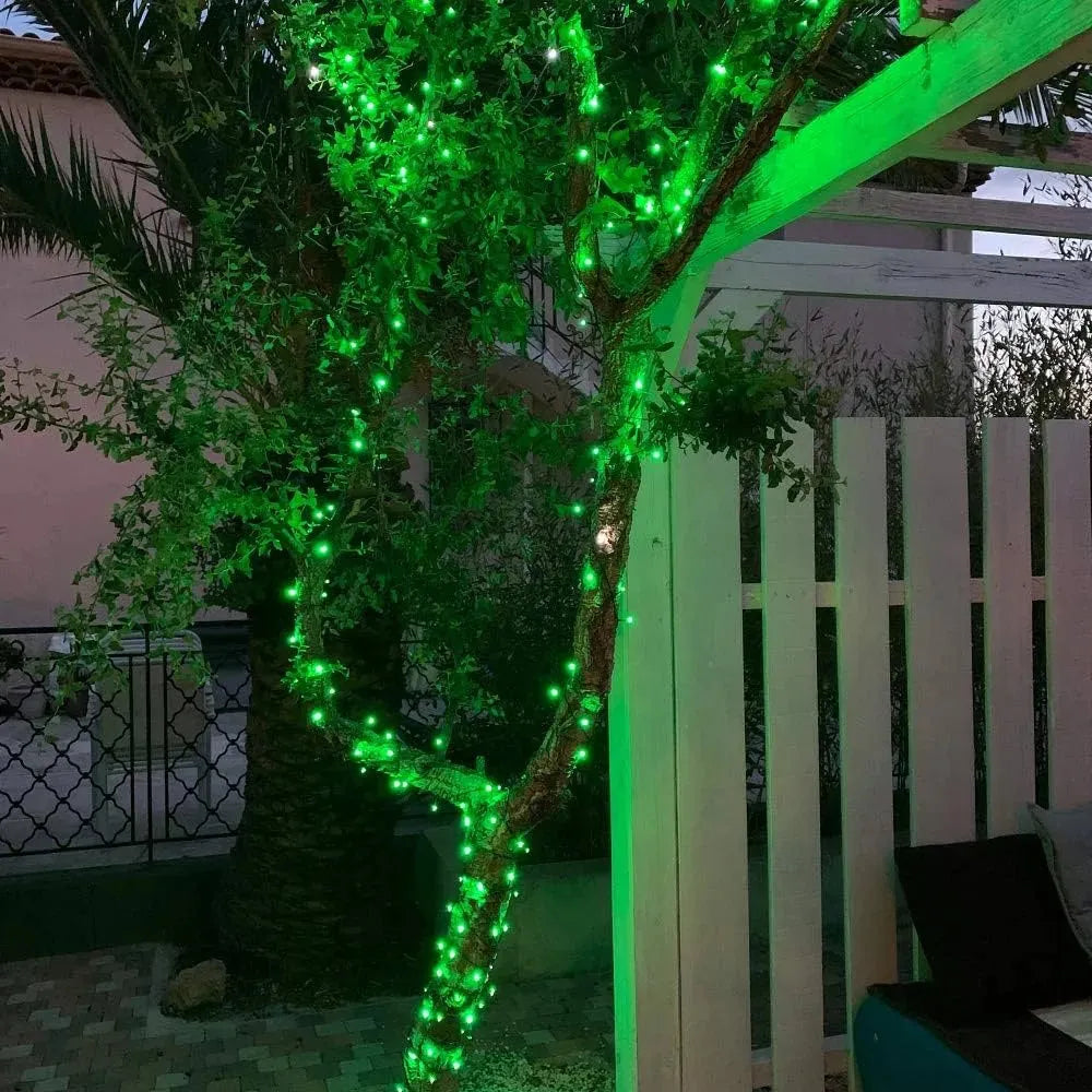 Guirlande Vert lumineuse décoratif - 100 LED - 10 m - SQES