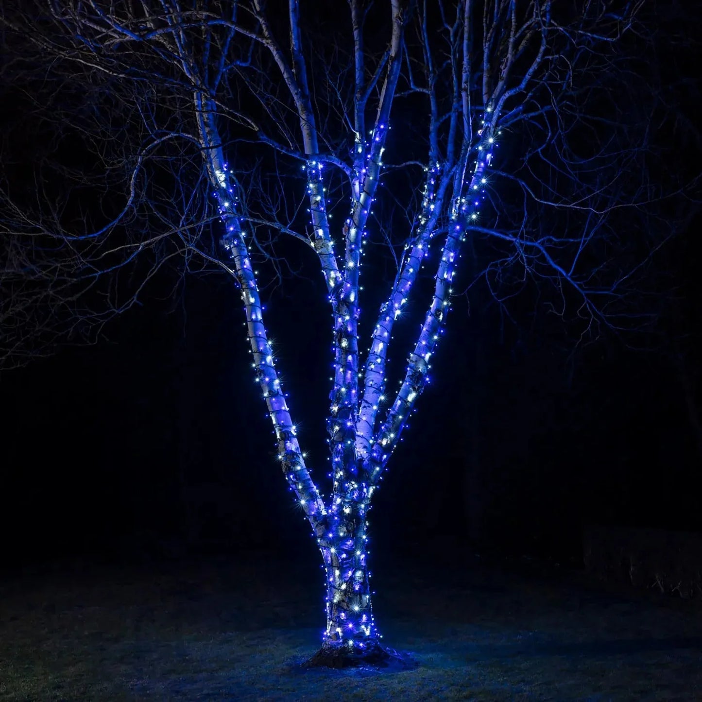 Guirlande lumineuse décoratif - Kit 100 LED Bleu 10M - SQES
