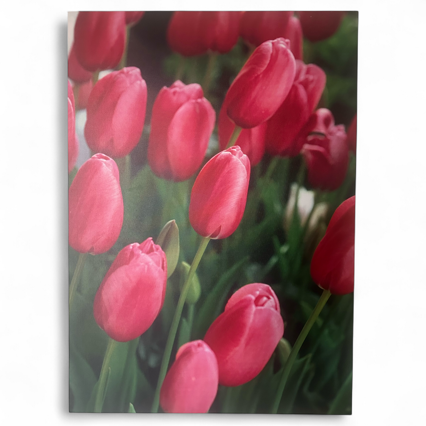 Tableau en toile 70x50cm - Décoration murale moderne