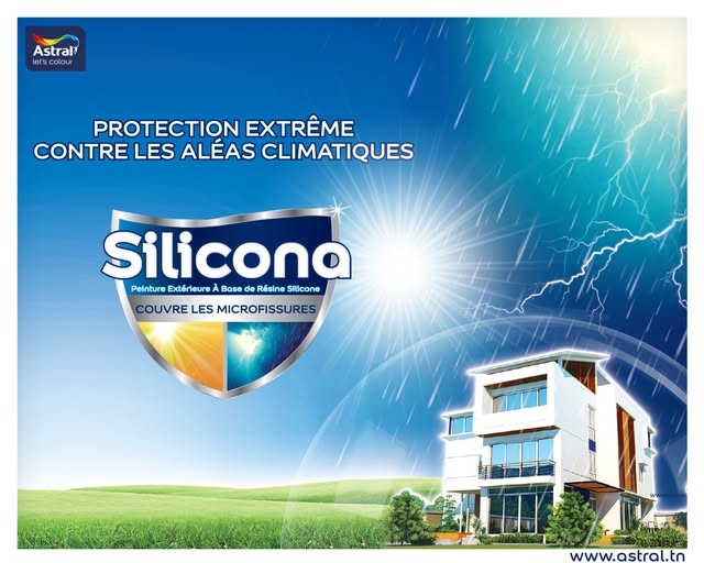 SILICONA BLANC ASTRAL 23KG