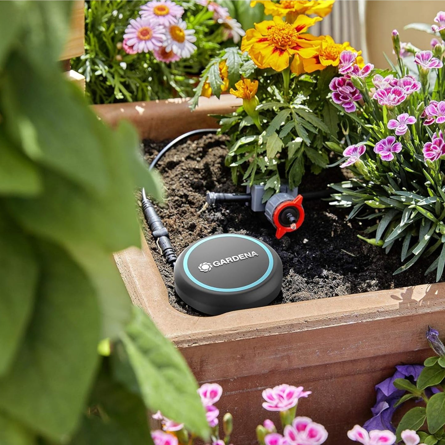 Sonde d'Humidité GARDENA