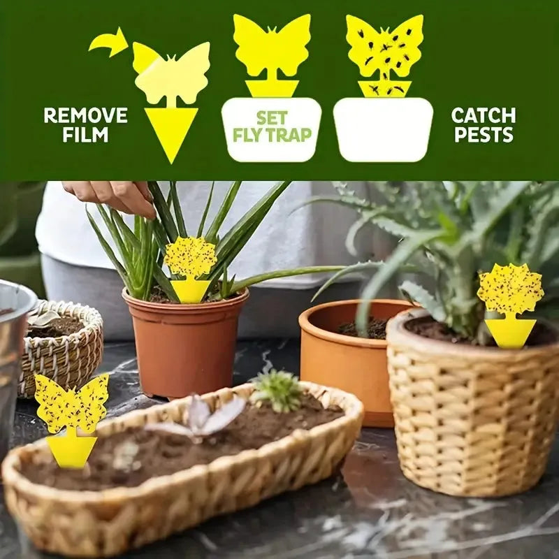 BOSS TAPE Anti Moucherons Plantes Intérieur, Pièges Engluées Autocollants (4pcs) 20cm - SQES