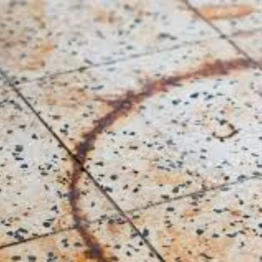 DESOXYDANT PASSIVANT 1L MEDI CLEAN - SQES