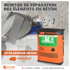EXTRAREPAIR DR400 SAC 25KG DERBIGUM