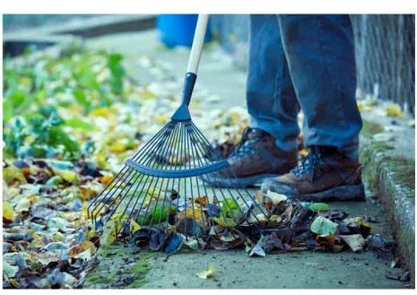 Balai à dents plates en acier trempé – Sans manche, robuste et efficace - 3041 - SQES