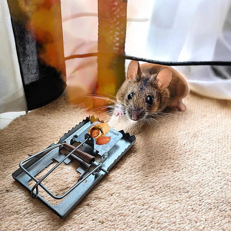 Pièges à Rats - Attrape souris - 17cmx10cm - SQES