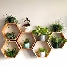 Accessoires et décoration - SQES