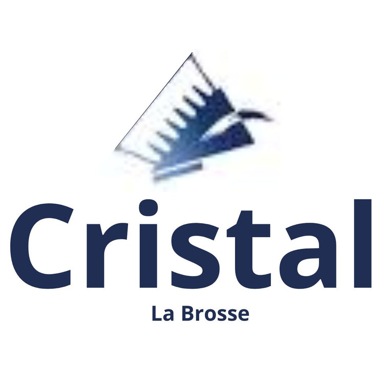 Brosse professionnelle La Brosse Cristal – qualité et performance SQES Tunisie