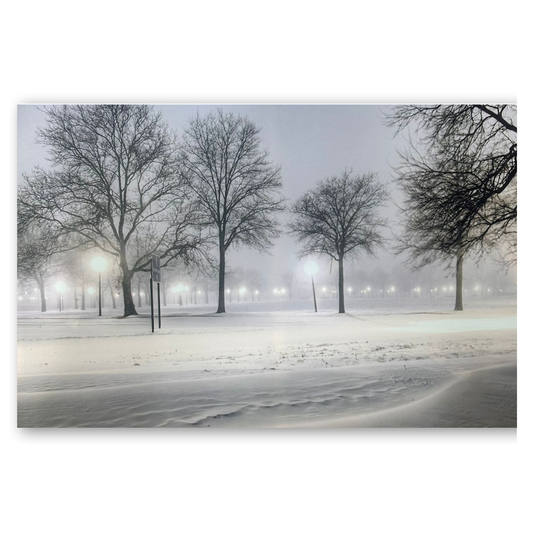 Tableau Paysage Hivernal 70x50cm Lumineux LED Toile Textile Haute Qualité