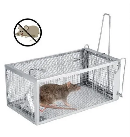 Piège à cage pour rat - Attrape souris - Piège souris - SQES