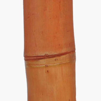 Bambou naturelle rouge, titeur de plante, tige 1,8m, lot de 10pcs - SQES