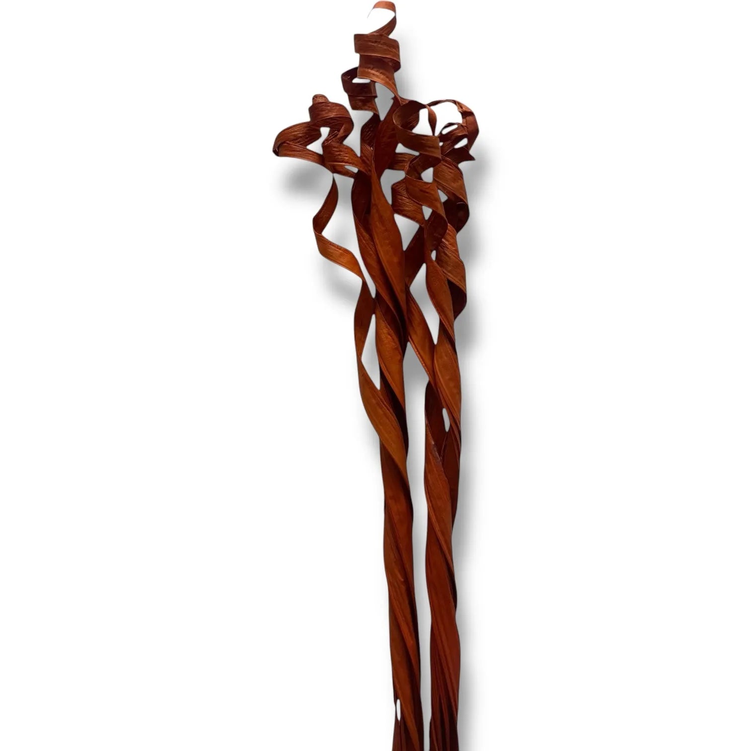 Palme bouclé pour decoration interieur 1,5m marron 10branches - SQES