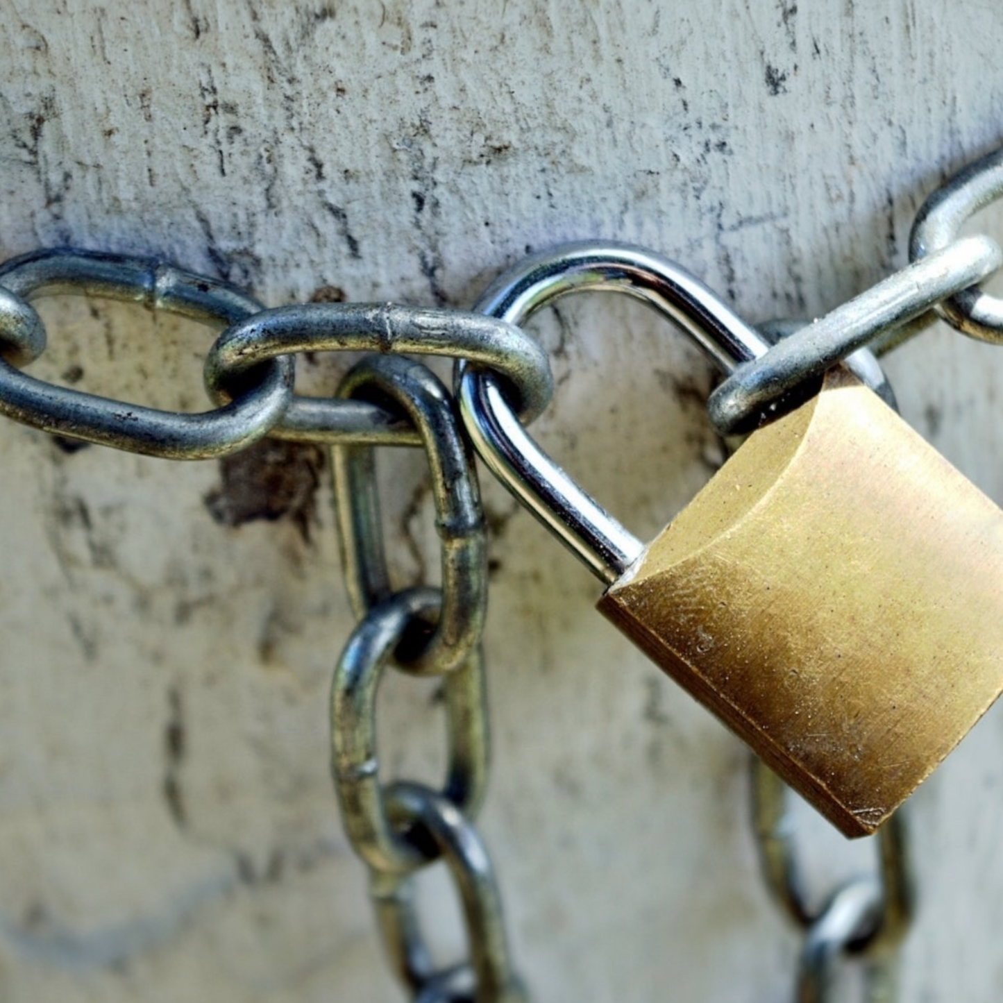 Chaîne Galvanisée 15mm x 2,5mm Courte