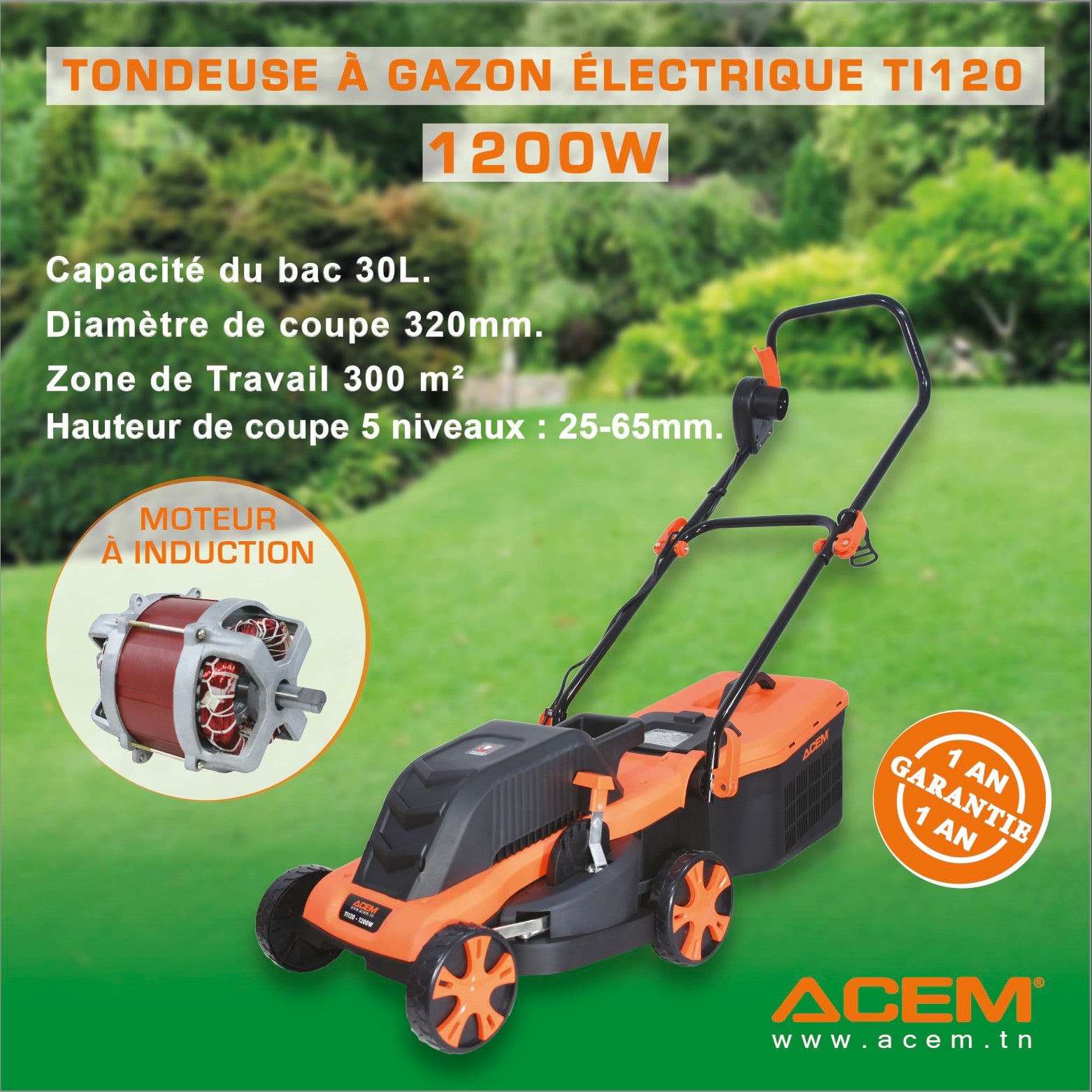 Tondeuse à Gazon Électrique ACEM – Moteur à Induction TI120 – 1200W - SQES