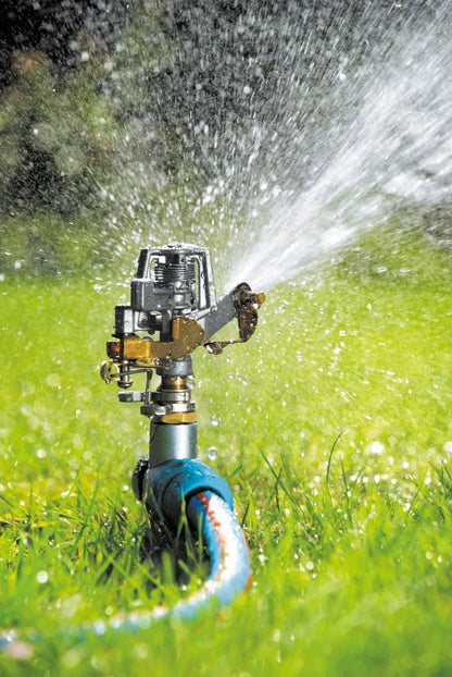 Arroseur professionnel - Pulverisateur de jardin en métal a impulsion - - SQES