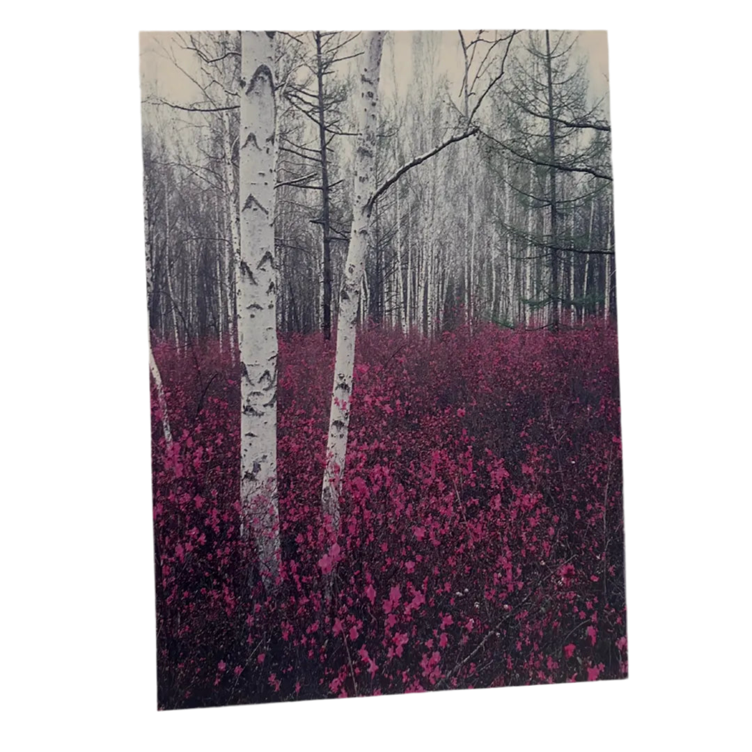 Tableau Foret Mauve 50x70cm imprimé sur Toile Textile Haute qualité