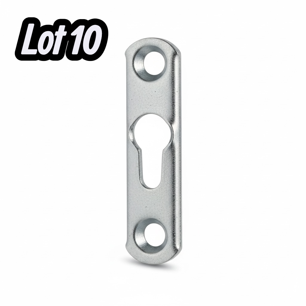 Lot 10 pcs Platine boutonnière Acier zingué H. 60 x l. 16 mm