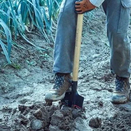 Beche Pelle en Acier avec Manche en Bois - 1 Mètre - SQES