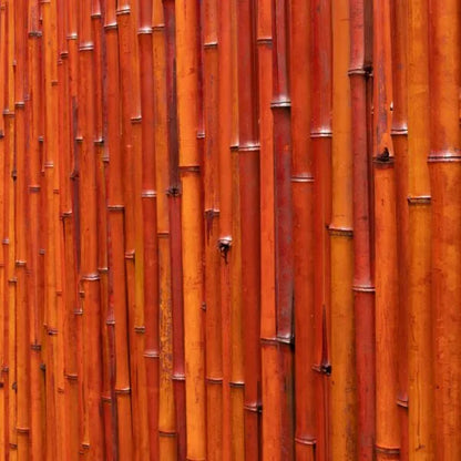 Bambou naturelle rouge, titeur de plante, tige 1,8m, lot de 10pcs - SQES