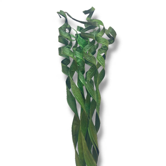Palme bouclé pour decoration interieur 1,5m vert 10branches - SQES