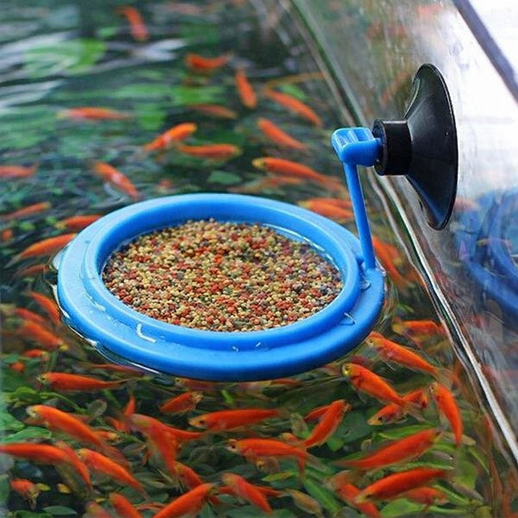 Mangeoire Flottante pour Poisson d'Aquarium avec Ventouse