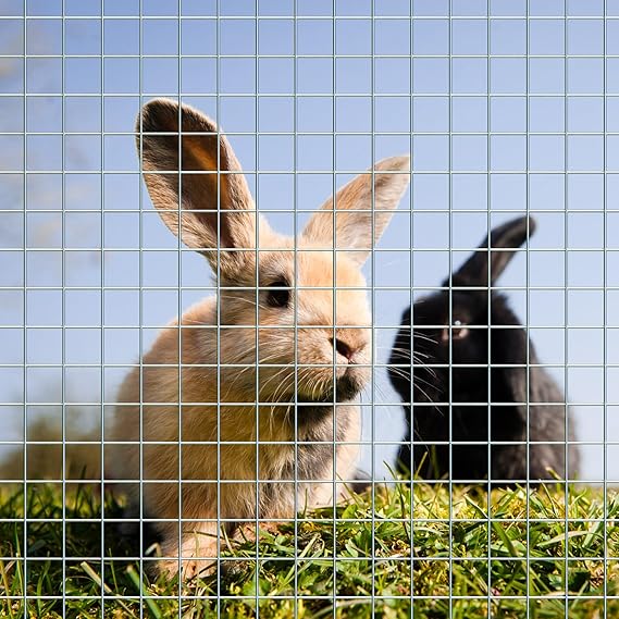 Grillage de Treillis Soudé Galvanisé Rouleau de 25 mètres – Maille rectangulaire 10x24 pour Jardin