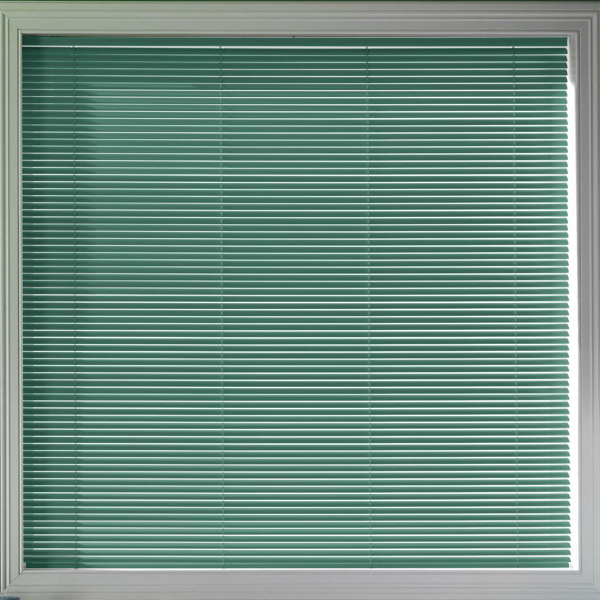 Rideau Roulant PVC vert foncé 140cm x 1,85m