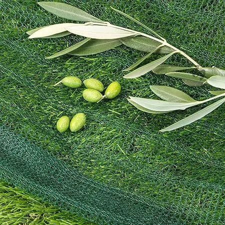 Filet de récolte des Olives - SQES