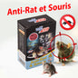 TAKA SOURIS PATE 50gr Anti Rat ET Souris - SQES