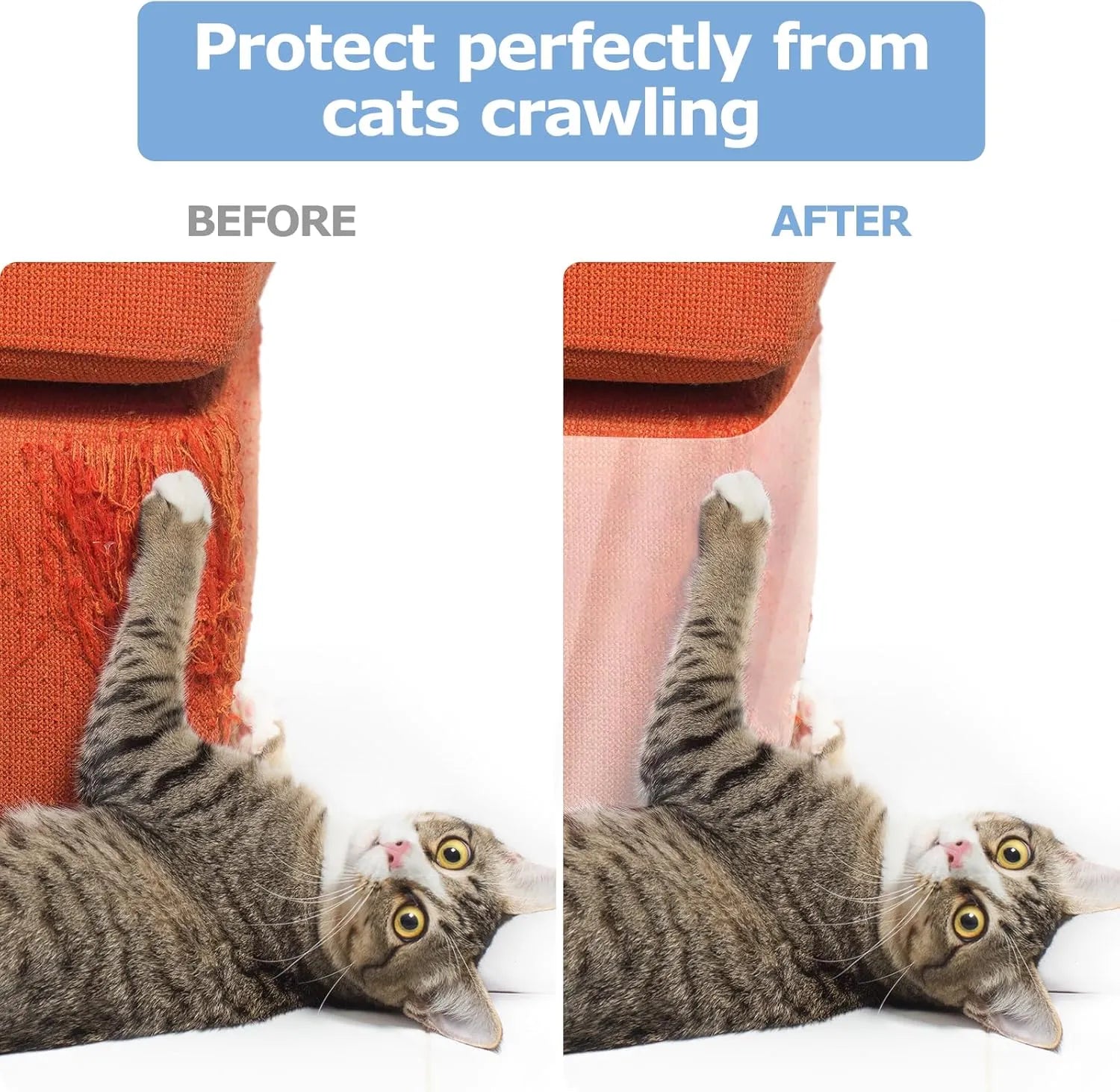 BOSS TAPE Film protecteur de meuble adhésif contre les rayures par la patte du chat 10cmx10m transparent - SQES