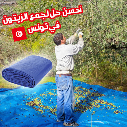 Bâche pour la récolte des olives - Protection Multiusages  - Imperméable Œillets