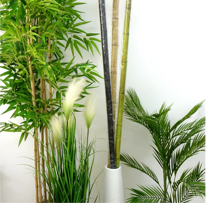 Bambou naturelle vert, titeur de plante, tige 1,8m, lot de 10pcs - SQES