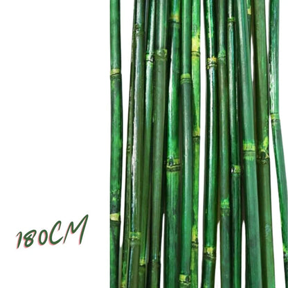 Bambou naturelle vert, titeur de plante, tige 1,8m, lot de 10pcs - SQES